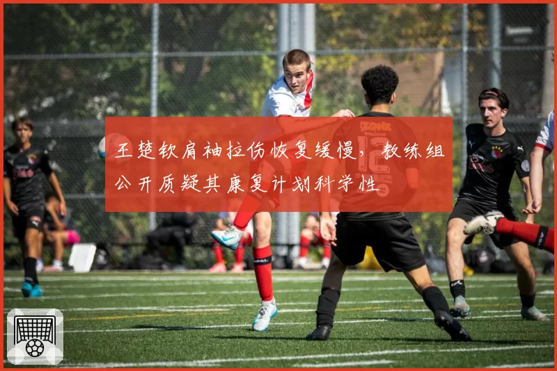 王楚钦肩袖拉伤恢复缓慢，教练组公开质疑其康复计划科学性