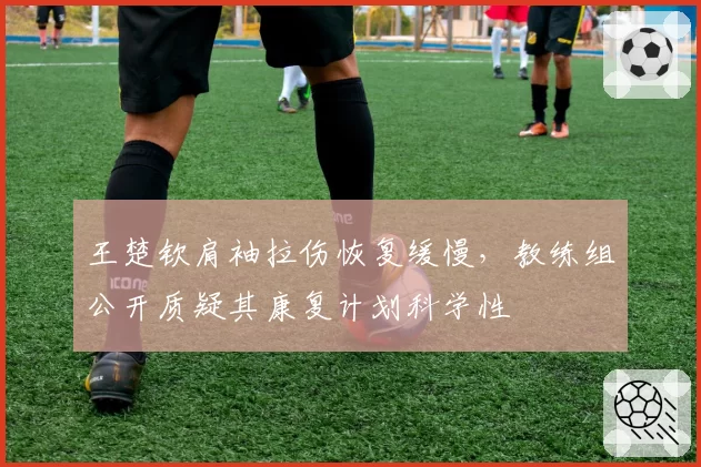 王楚钦肩袖拉伤恢复缓慢，教练组公开质疑其康复计划科学性