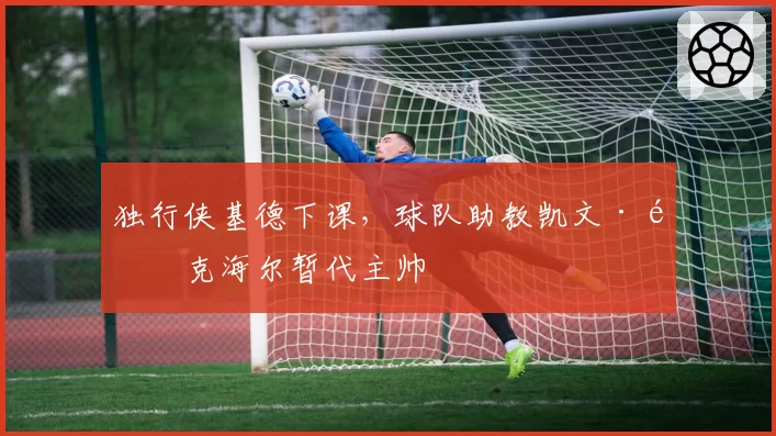 独行侠基德下课，球队助教凯文·麦克海尔暂代主帅