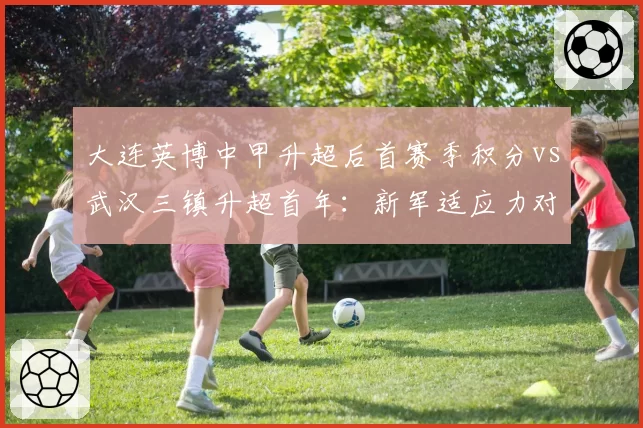 大连英博中甲升超后首赛季积分vs武汉三镇升超首年:新军适应力对比